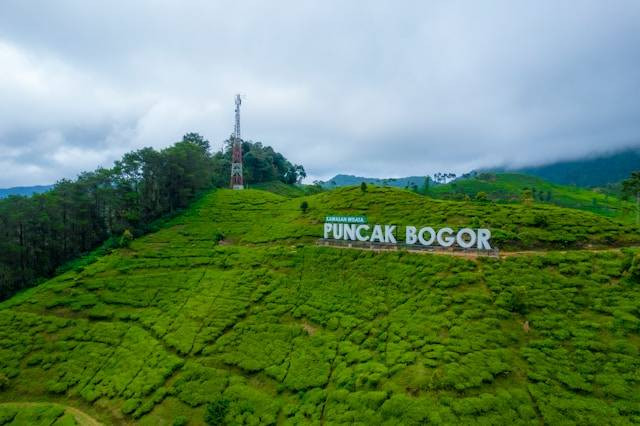 Panduan Lengkap Menuju Puncak dengan Kendaraan Umum