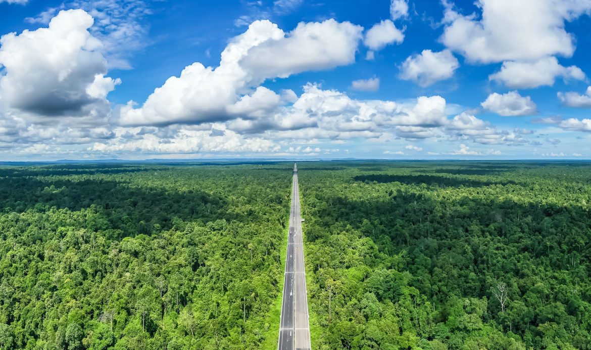 Ulu Temburong National Park: Surga Tersembunyi di Tengah Hutan Tropis Brunei