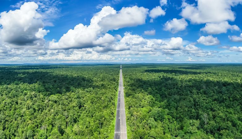 Ulu Temburong National Park: Surga Tersembunyi di Tengah Hutan Tropis Brunei